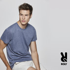 Camiseta  Fox (CA6660) - Roly