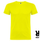 Camiseta Niño Beagle (6654) - Roly
